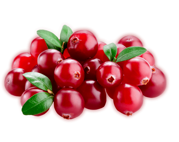 Prostamin Forte contains lingonberries